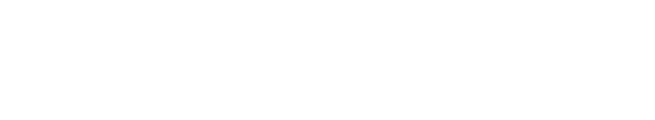 technivolt Logo